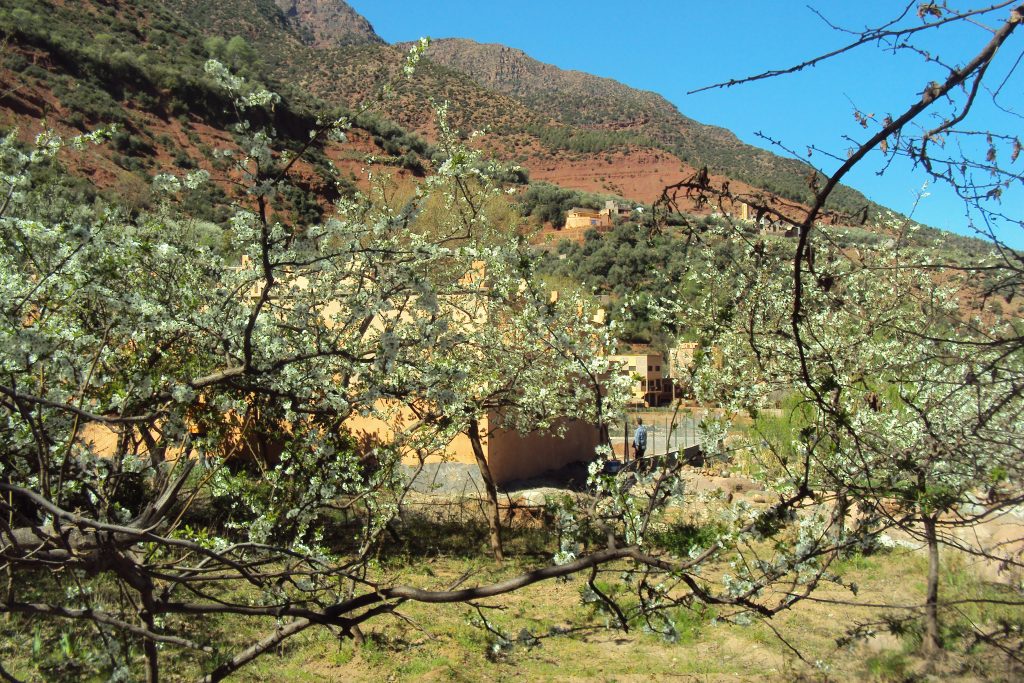 Valle di Ourika, Marocco